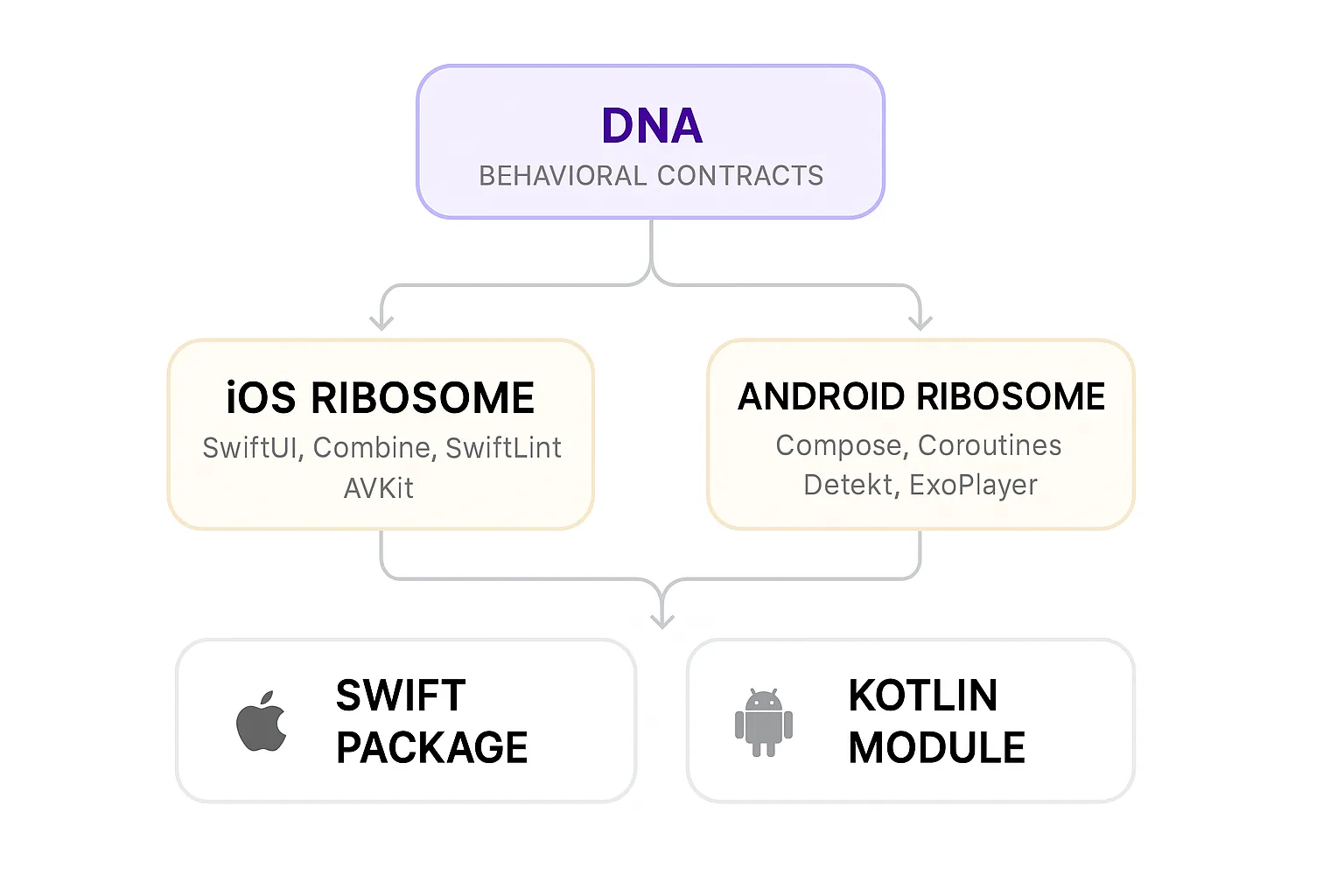 One DNA identity flows through two ribosome layers (iOS and Android) to produce two fully native codebases