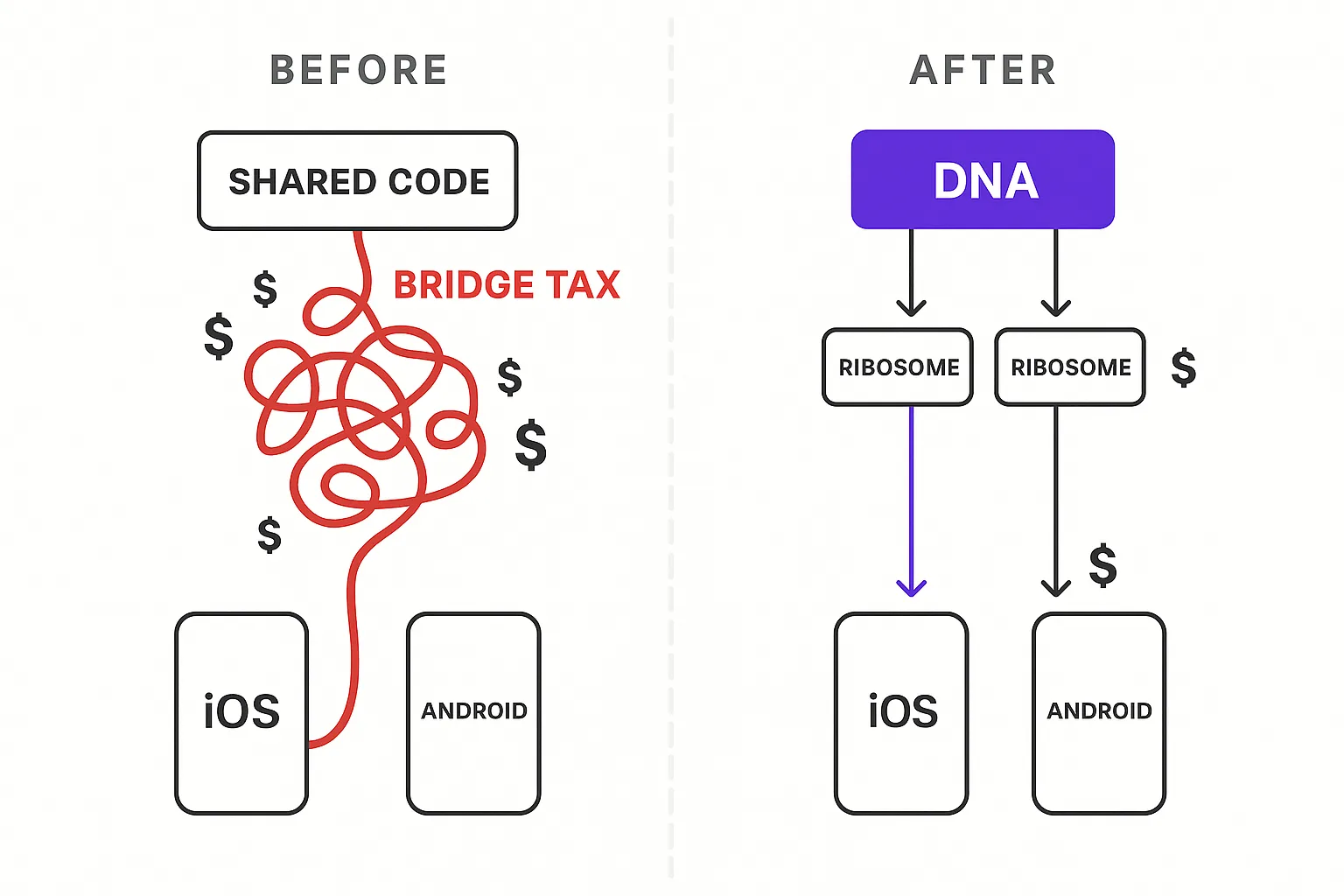 Before: shared code connected to two platforms through an expensive tangled bridge. After: one DNA flowing cleanly through two ribosome layers at minimal token cost.