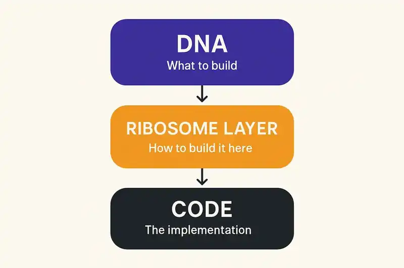 The three-layer stack — DNA declares what to build, the Ribosome Layer determines how to build it here, and Code is the resulting implementation