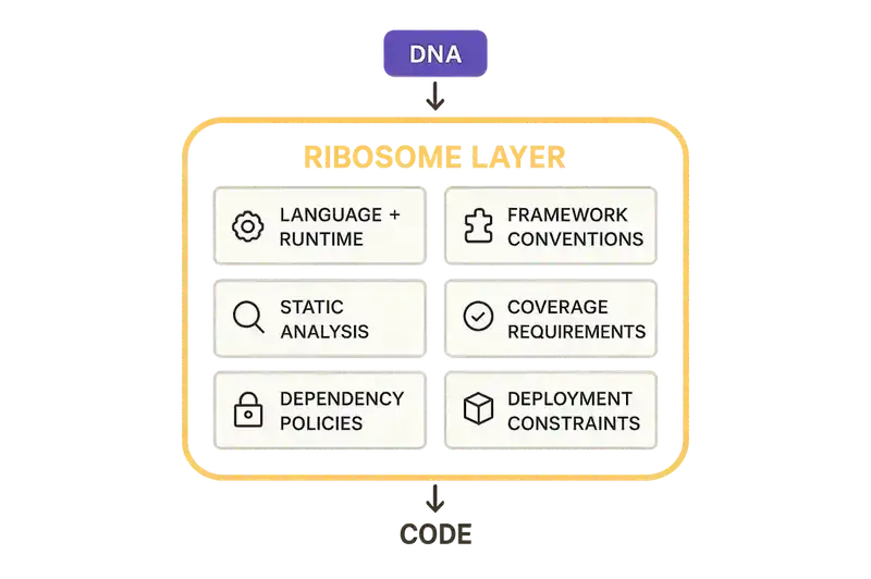 What the ribosome layer contains — language and runtime, framework conventions, static analysis, coverage requirements, dependency policies, and deployment constraints