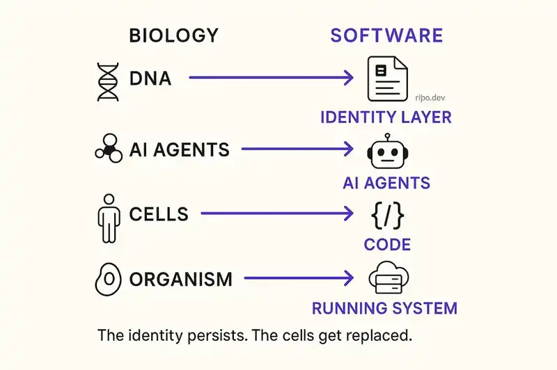 Mapping software identity into a structured DNA declaration of purpose, contracts, and constraints